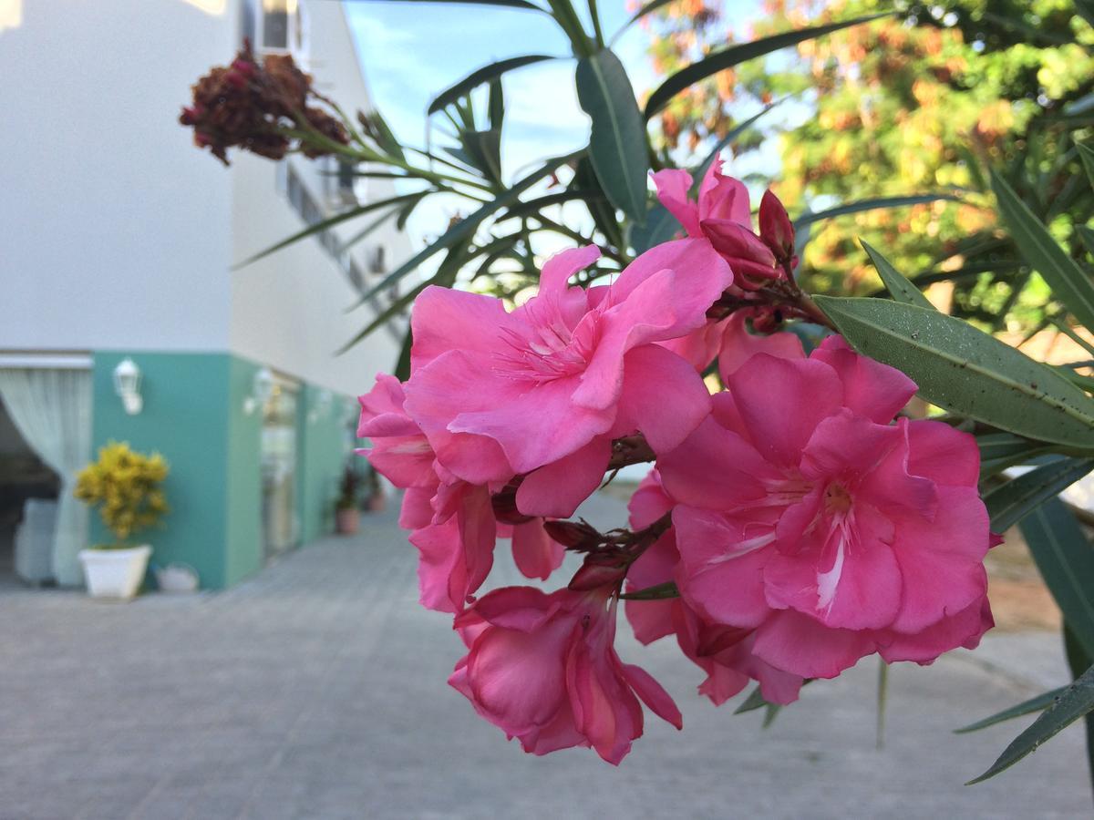 Scenarium Hotel Jaboatao dos Guararapes Exterior photo